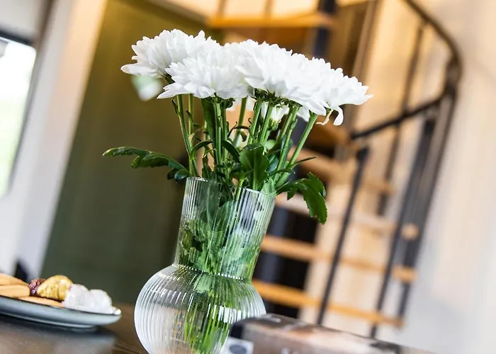 Apartment Przystanek Cisza